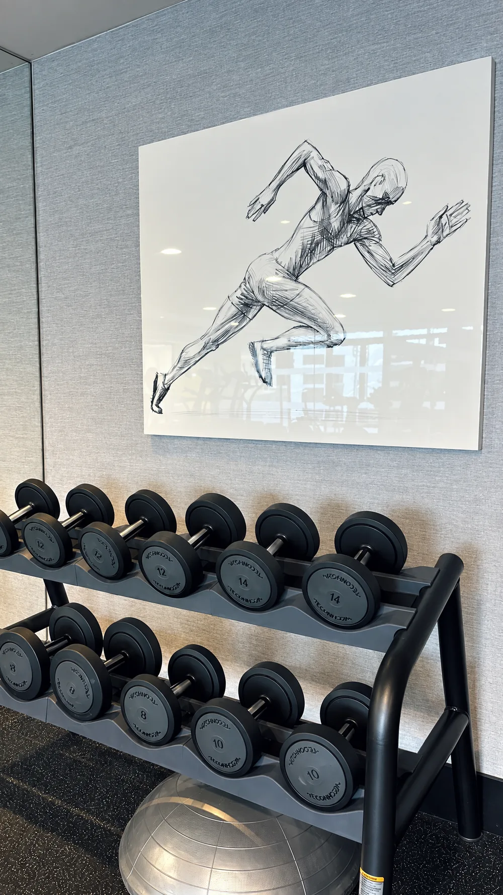Dumbbells and an exercise ball in the clinic's exercise area